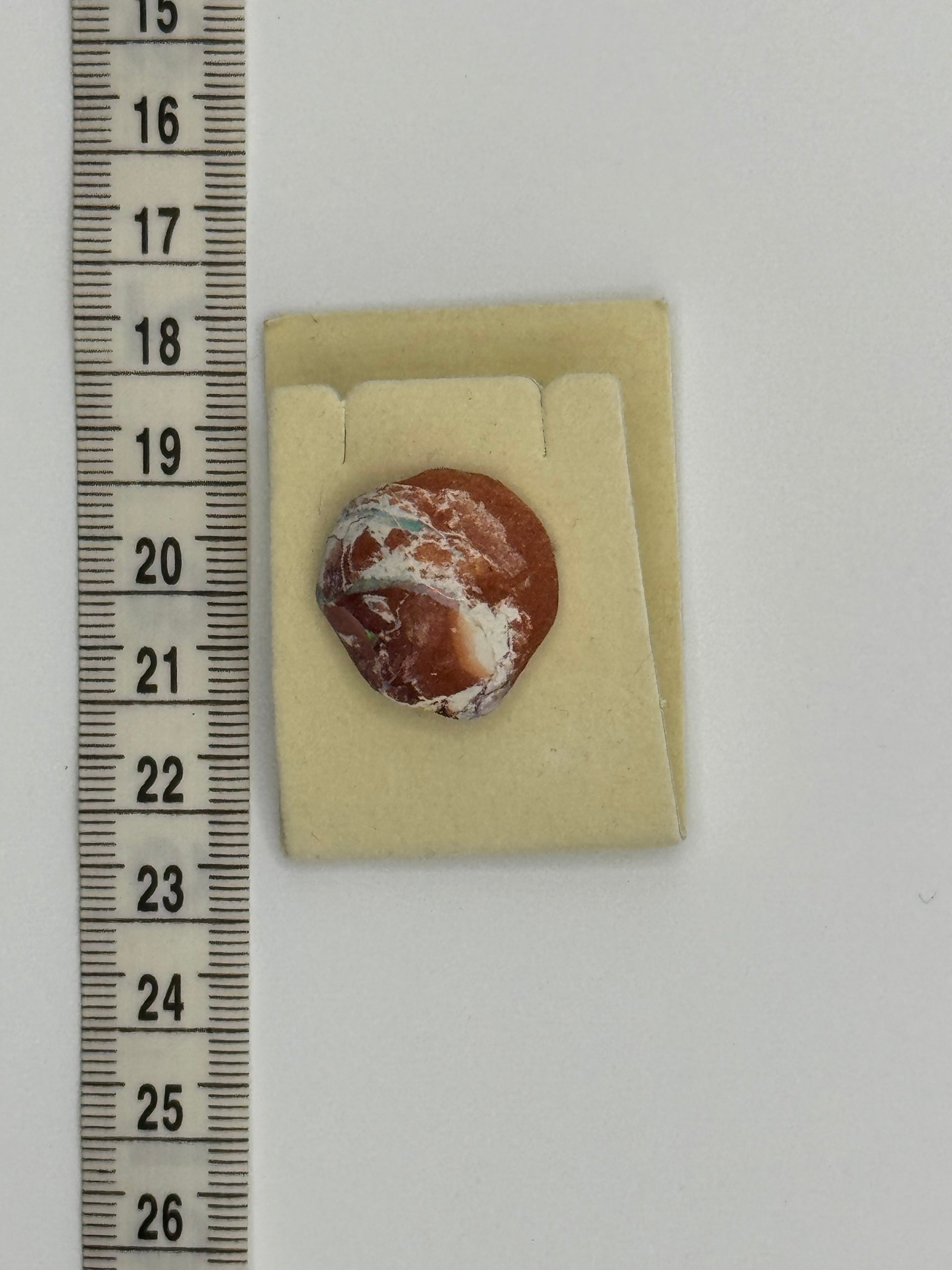 Natural Australian opal embedded in host rock, small specimen displayed next to ruler for size reference.