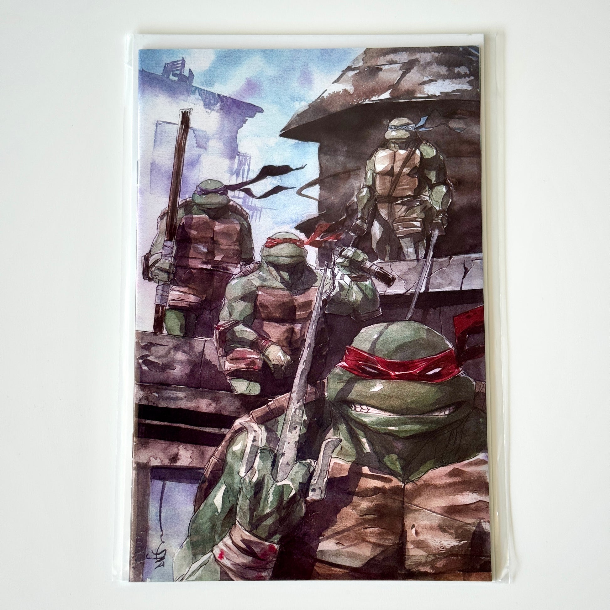 Teenage Mutant Ninja Turtles #1 (2024) Dustin Nguyen Virgin Variant Limited Edition comic cover